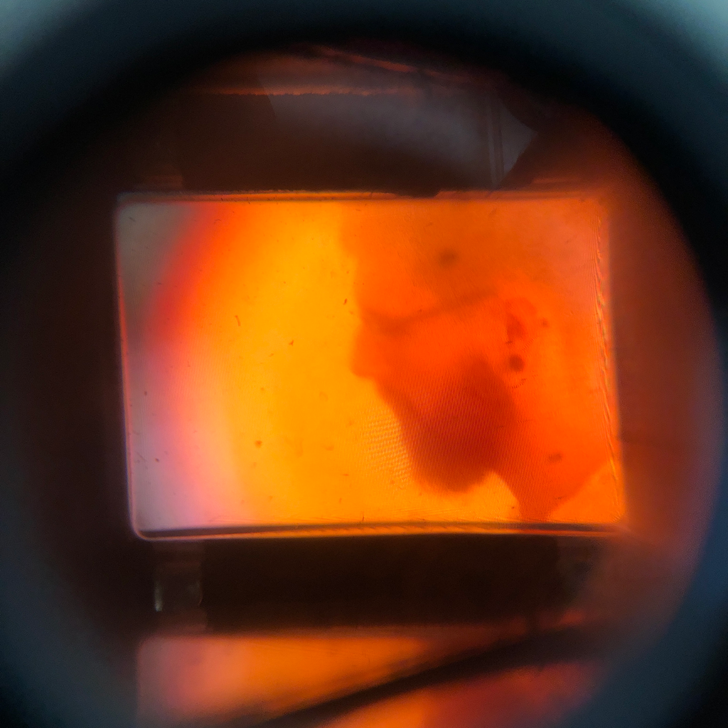 Picture of me. But through an old camera or something. I don't remember