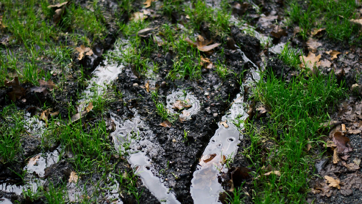 Photo of shapes in wet mud.