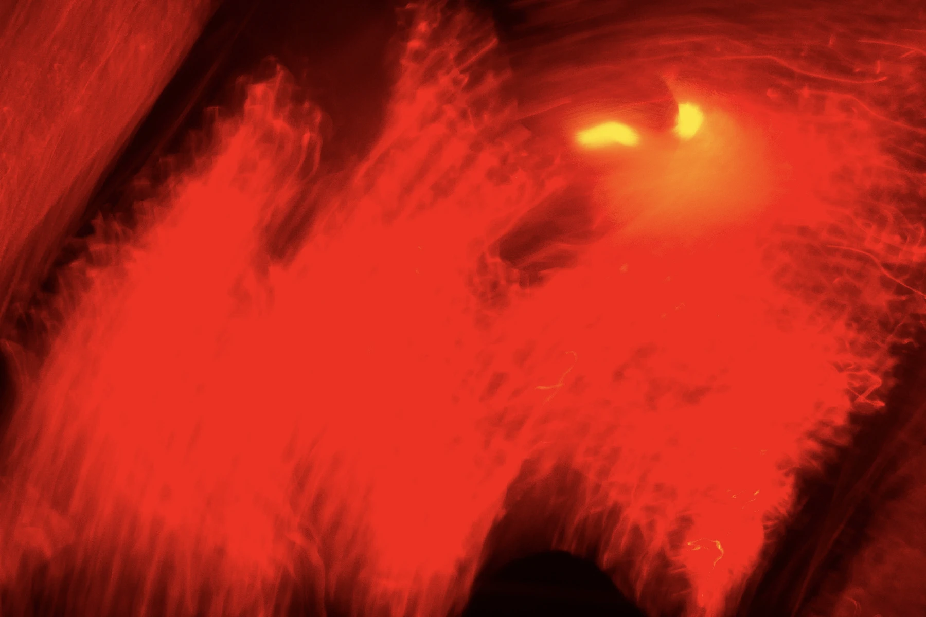 Photo of lights that looks almost like a painting.